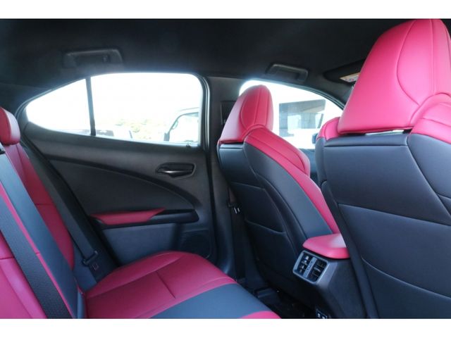 TOYOTA LEXUS UX250h 2020