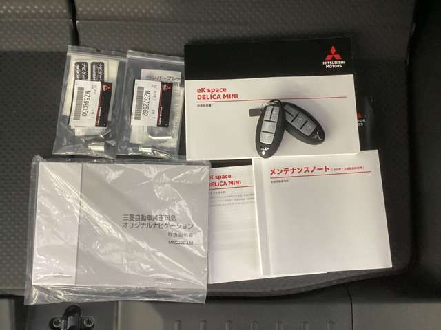 MITSUBISHI DELICA MINI 2024