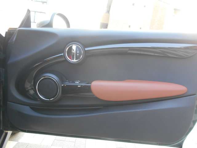 BMW BMW MINI COOPER S 2016