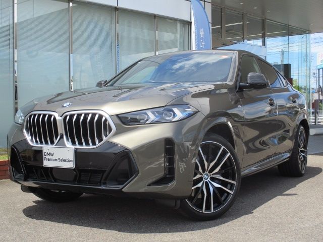 BMW BMW X6 2025