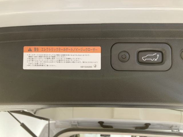 MITSUBISHI DELICA D:5 4WD 2025