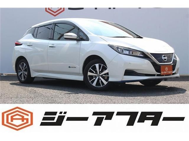 NISSAN LEAF 2020