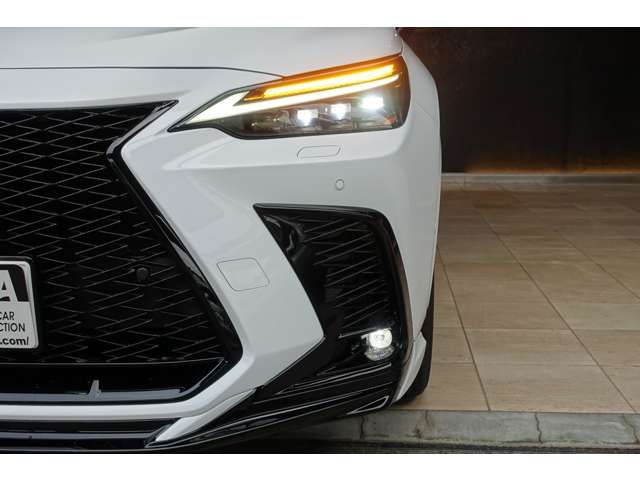 TOYOTA LEXUS NX350h 2023