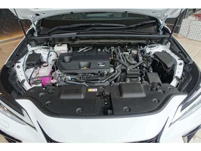 TOYOTA LEXUS NX350h 2023