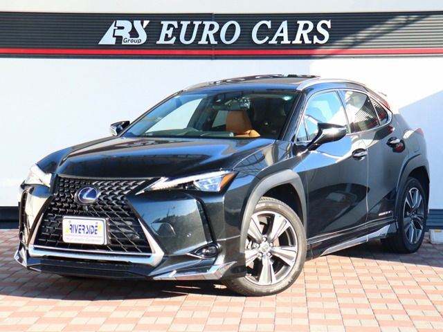 TOYOTA LEXUS UX300e 2021