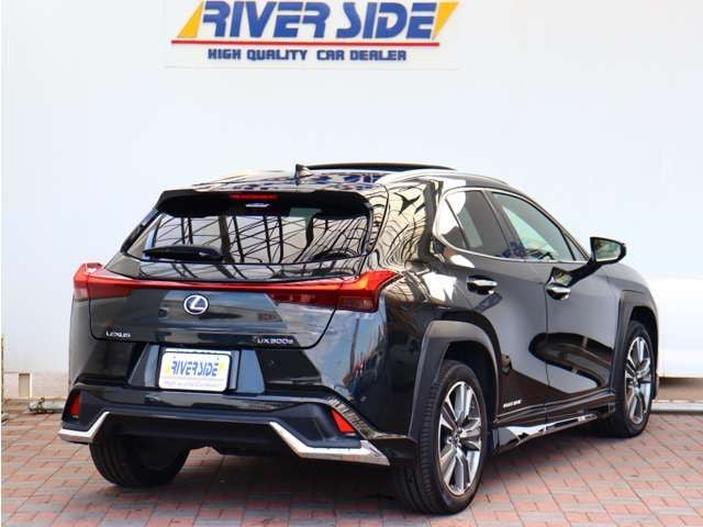 TOYOTA LEXUS UX300e 2021