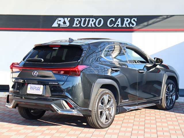 TOYOTA LEXUS UX300e 2021