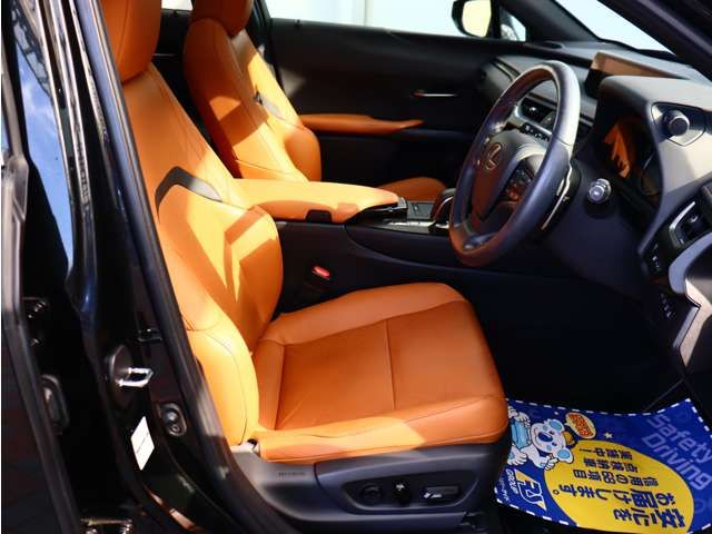 TOYOTA LEXUS UX300e 2021