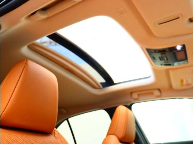 TOYOTA LEXUS UX300e 2021