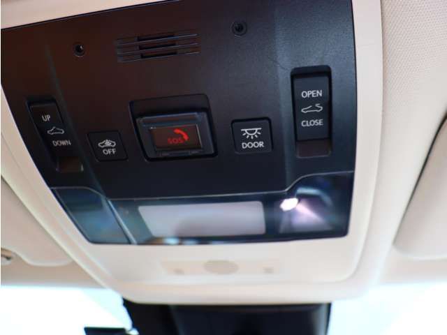 TOYOTA LEXUS UX300e 2021