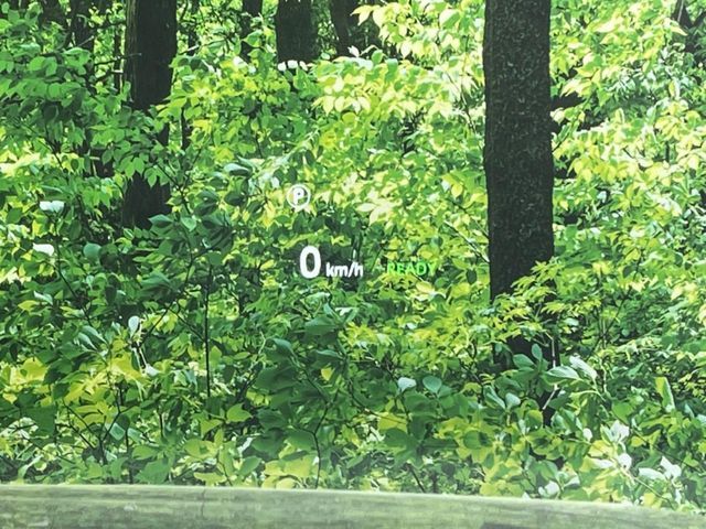 ROVER ROVER DISCOVERY SPORTS 2024