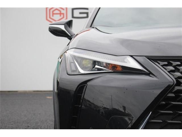 TOYOTA LEXUS UX250h 2020