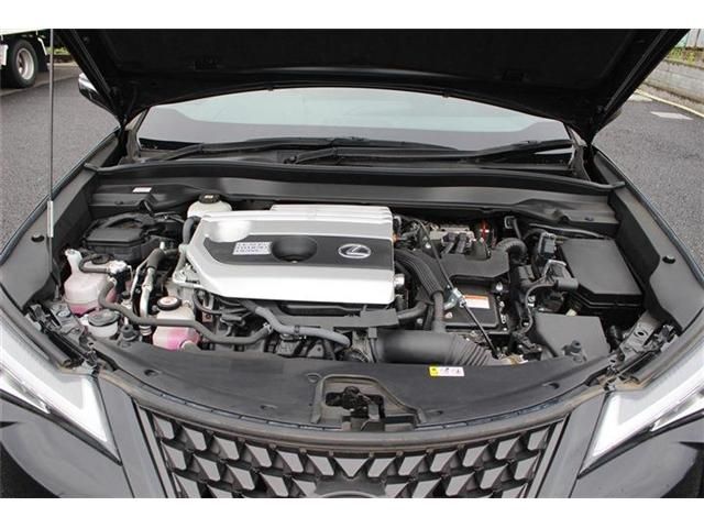 TOYOTA LEXUS UX250h 2020