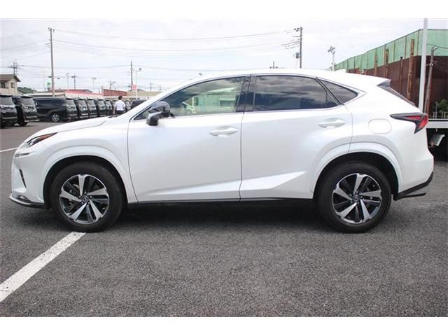 TOYOTA LEXUS NX300 2020