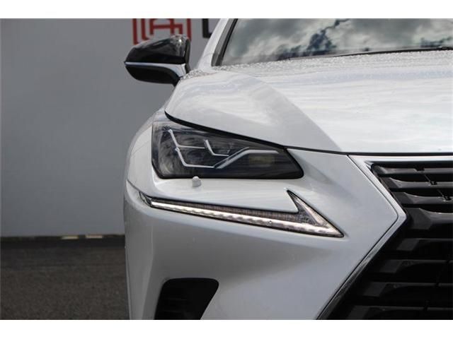 TOYOTA LEXUS NX300 2020