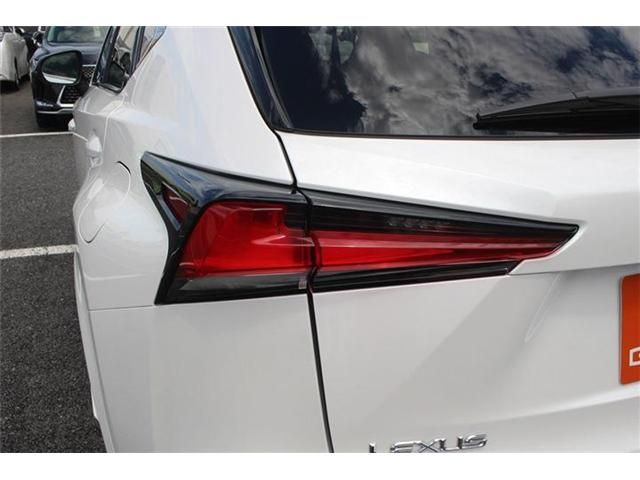 TOYOTA LEXUS NX300 2020