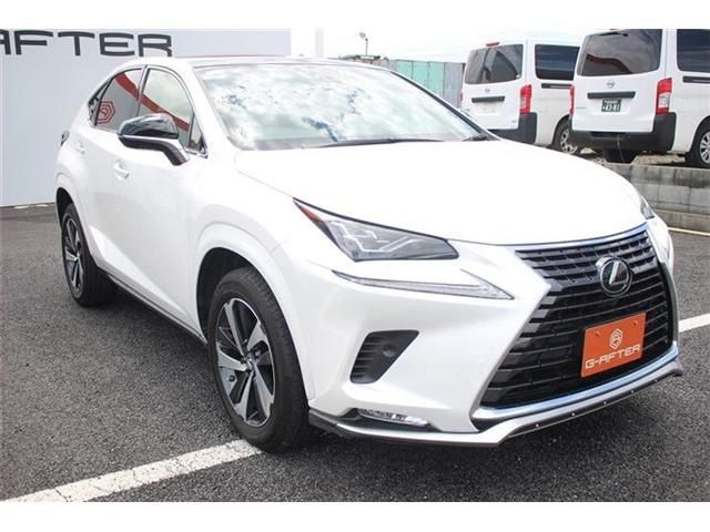 TOYOTA LEXUS NX300 2020