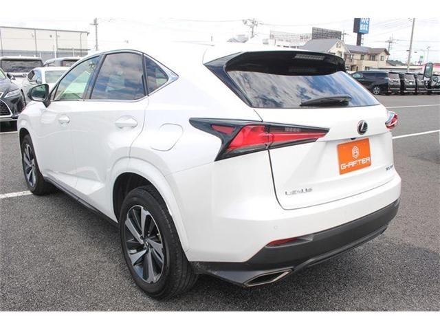 TOYOTA LEXUS NX300 2020