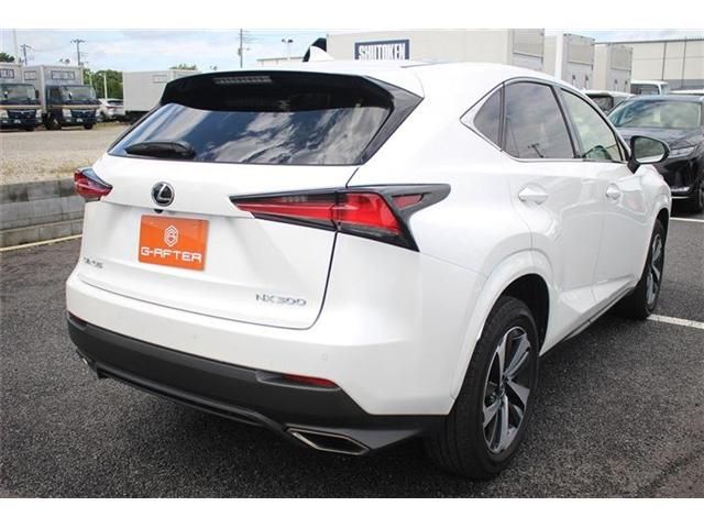 TOYOTA LEXUS NX300 2020