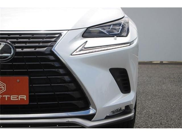 TOYOTA LEXUS NX300 2020