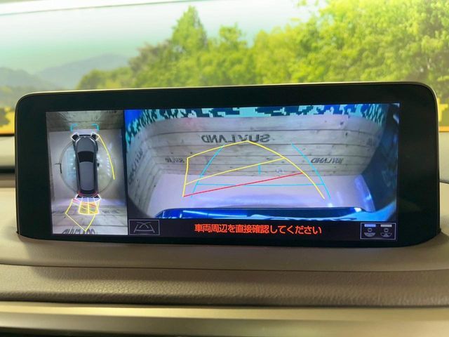 TOYOTA LEXUS RX450hL AWD 2019