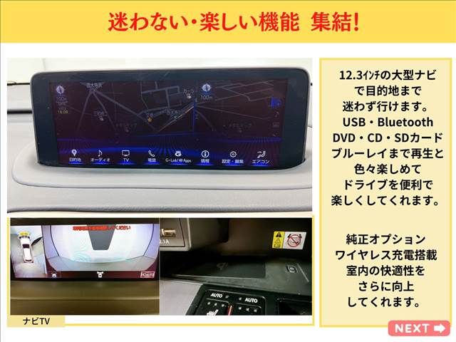 TOYOTA LEXUS RX450h AWD 2020