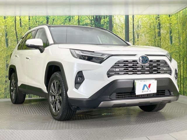 TOYOTA RAV4 HYBRID 4WD 2021