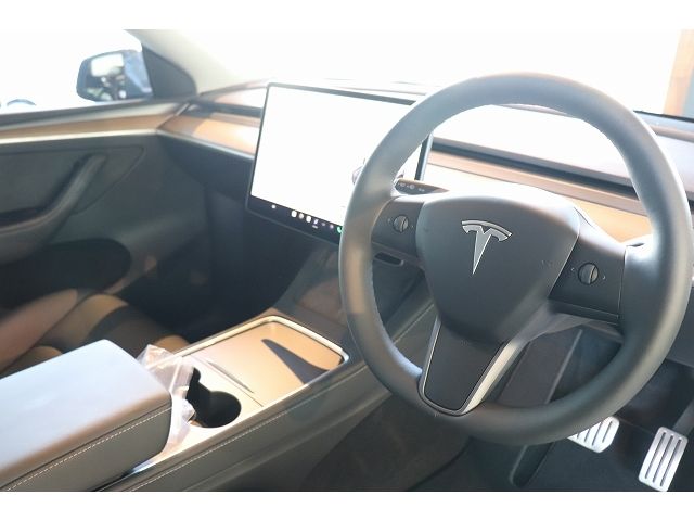 TESLA TESLA MODEL Y 2022