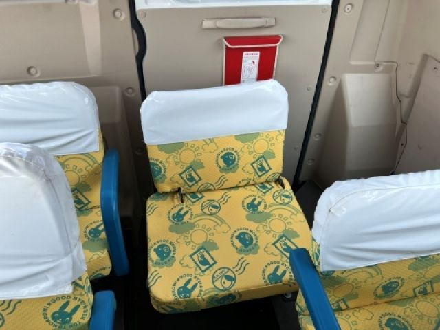 MITSUBISHI ROSA 2019