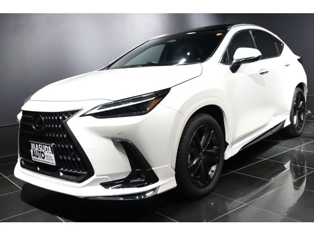 TOYOTA LEXUS NX250 2024