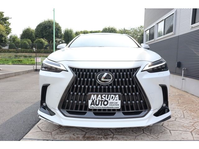 TOYOTA LEXUS NX250 2024