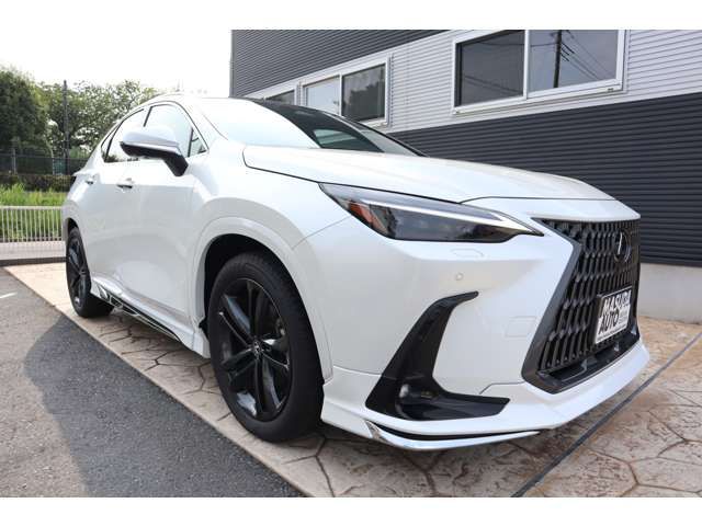 TOYOTA LEXUS NX250 2024