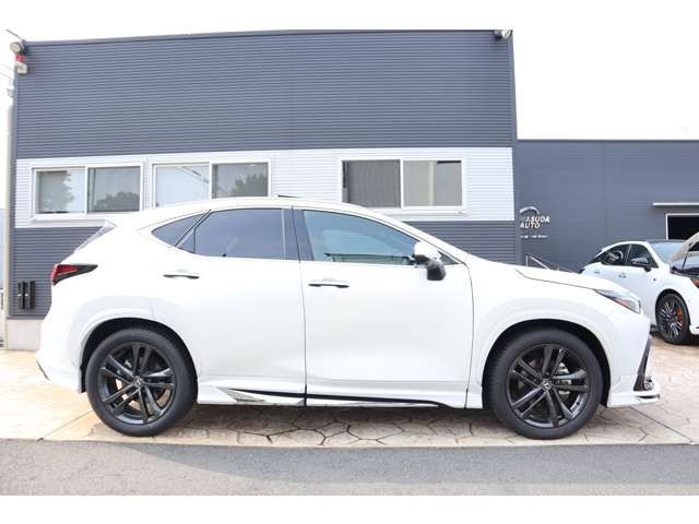 TOYOTA LEXUS NX250 2024