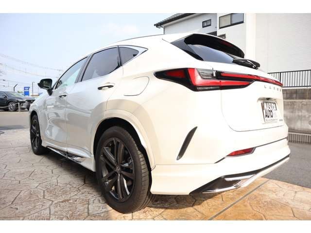 TOYOTA LEXUS NX250 2024