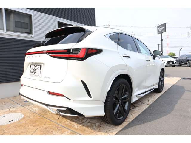 TOYOTA LEXUS NX250 2024