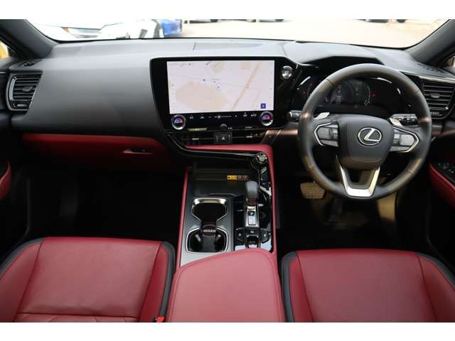 TOYOTA LEXUS NX250 2024
