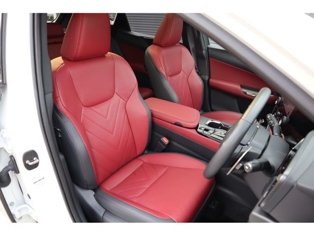 TOYOTA LEXUS NX250 2024