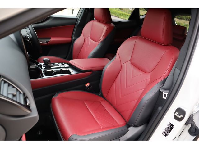 TOYOTA LEXUS NX250 2024