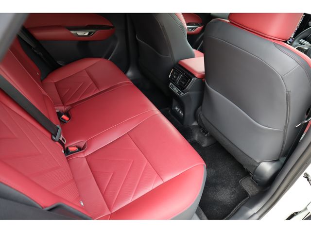 TOYOTA LEXUS NX250 2024