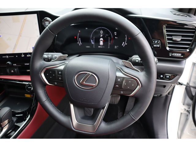 TOYOTA LEXUS NX250 2024