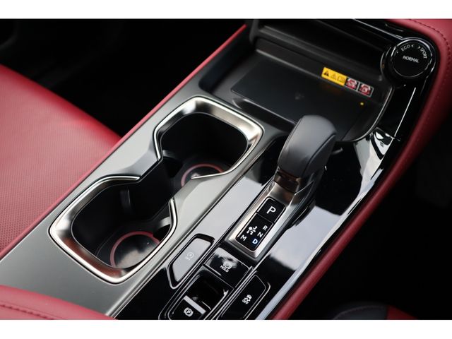 TOYOTA LEXUS NX250 2024