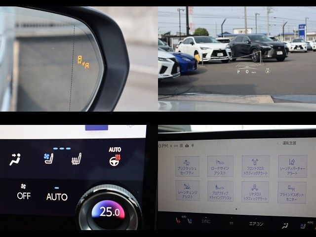 TOYOTA LEXUS NX250 2024