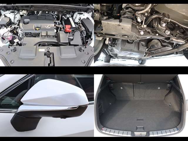 TOYOTA LEXUS NX250 2024