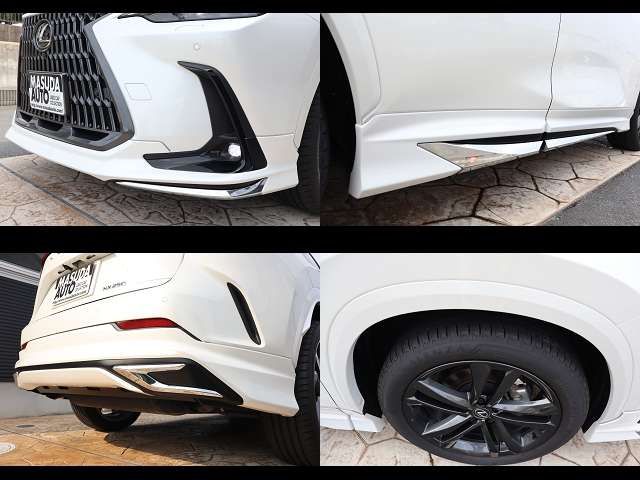 TOYOTA LEXUS NX250 2024