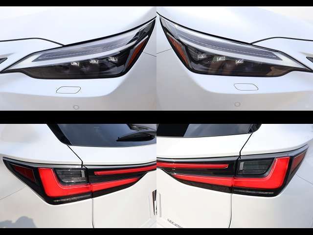 TOYOTA LEXUS NX250 2024