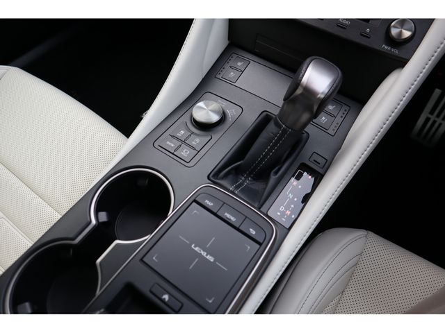 TOYOTA LEXUS RC300 2024