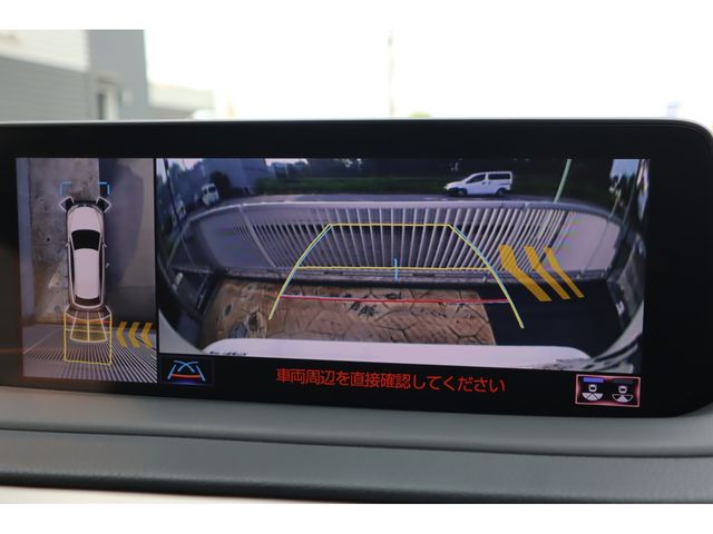 TOYOTA LEXUS RX450h AWD 2022