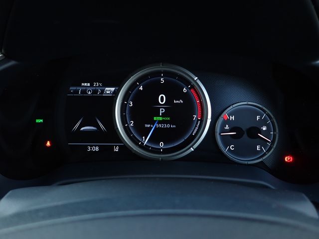 TOYOTA LEXUS RX300 2020