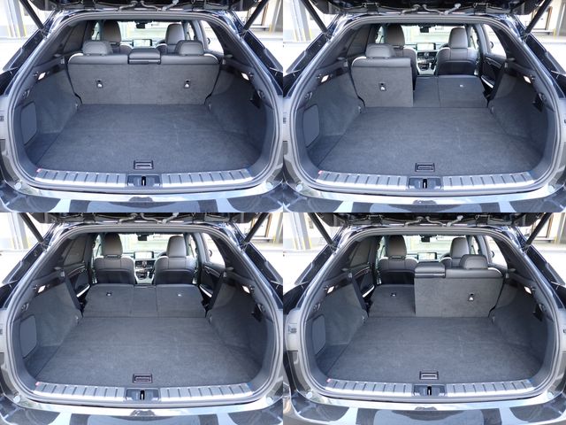 TOYOTA LEXUS RX300 2020