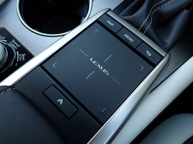 TOYOTA LEXUS RX300 2020